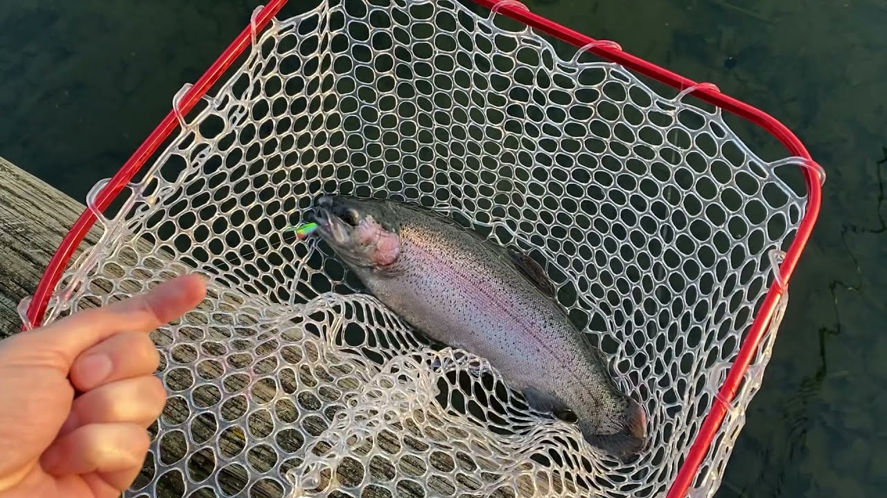 Vinter fiskeri i Aalsbogaard, lufter min nye Steel Trout UL Bombarda stang