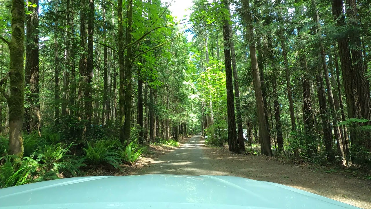 4K Driving from Duckabush to the Mt Walker Viewpoint Turnoff North of Brinnon, Washington