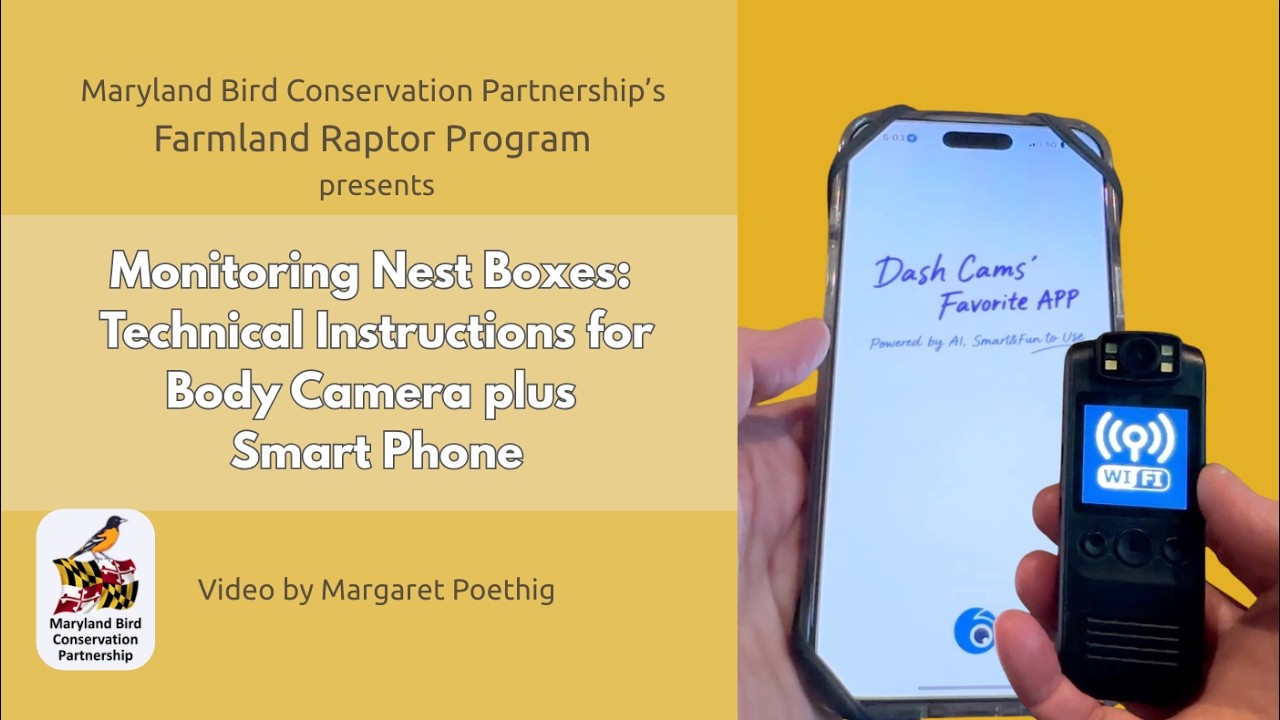 Nest Box Monitoring Device: Technical Instructions