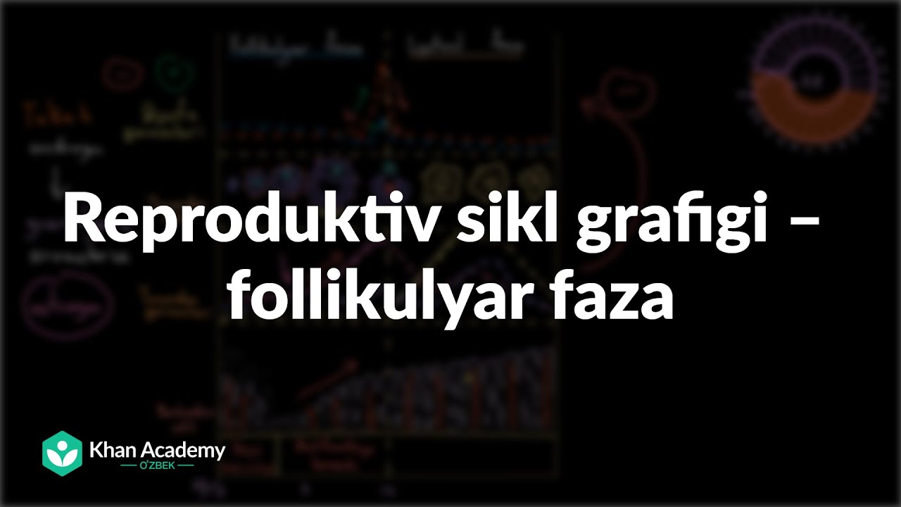 Reproduktiv sikl grafigi – Follikulyar faza |  Jinsiy sistema haqida umumiy tushuncha | Tibbiyot