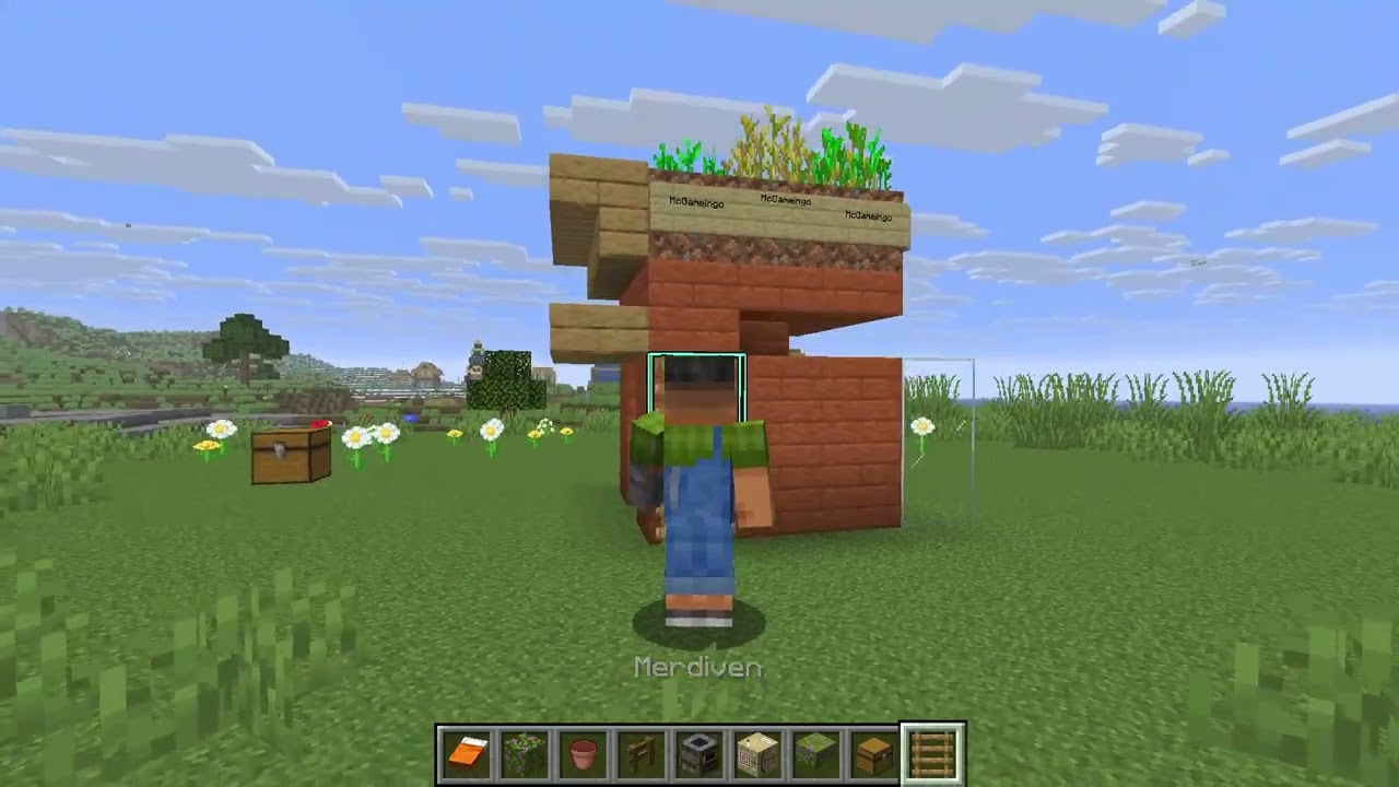 THE SMALLEST STARTET IN MINECRAFT