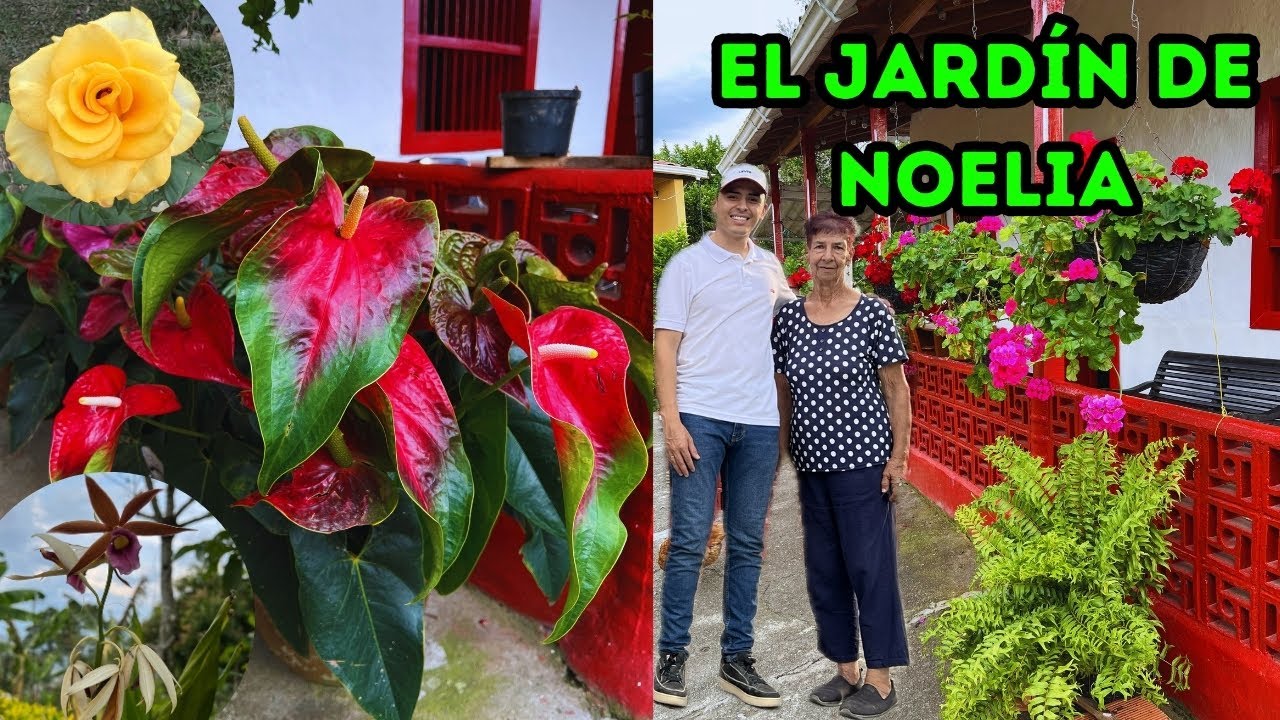 El encantador jardín colombiano de Noelia “nunca dejen de soñar con su plantas” |AP