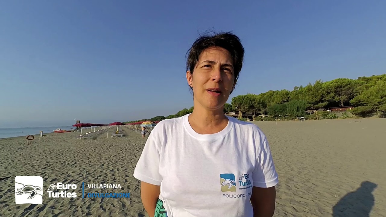 LIFE EUROTURTLES project activities of WWF in Policoro