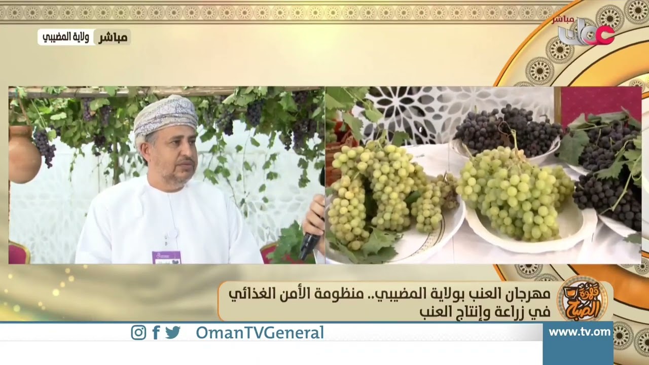 مهرجان العنب بولاية المضيبي   منظومة الأمن الغذائي في زراعة وإنتاج العنب