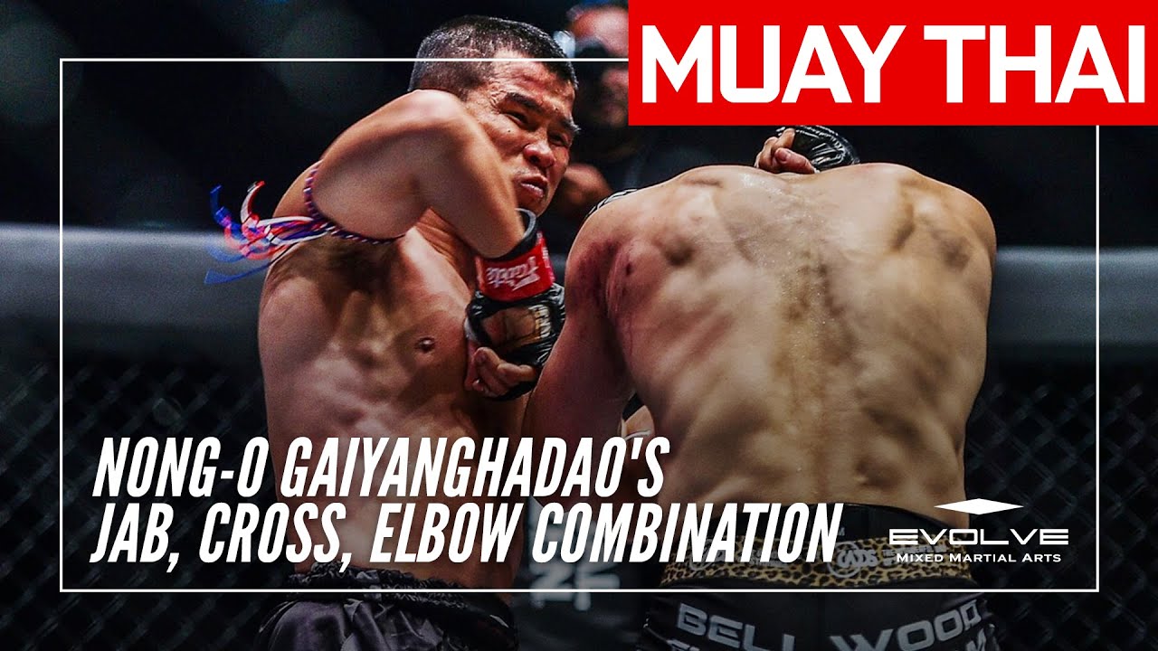 Nong-O Gaiyanghadao's Striking Precision | Evolve University Muay Thai Master Course