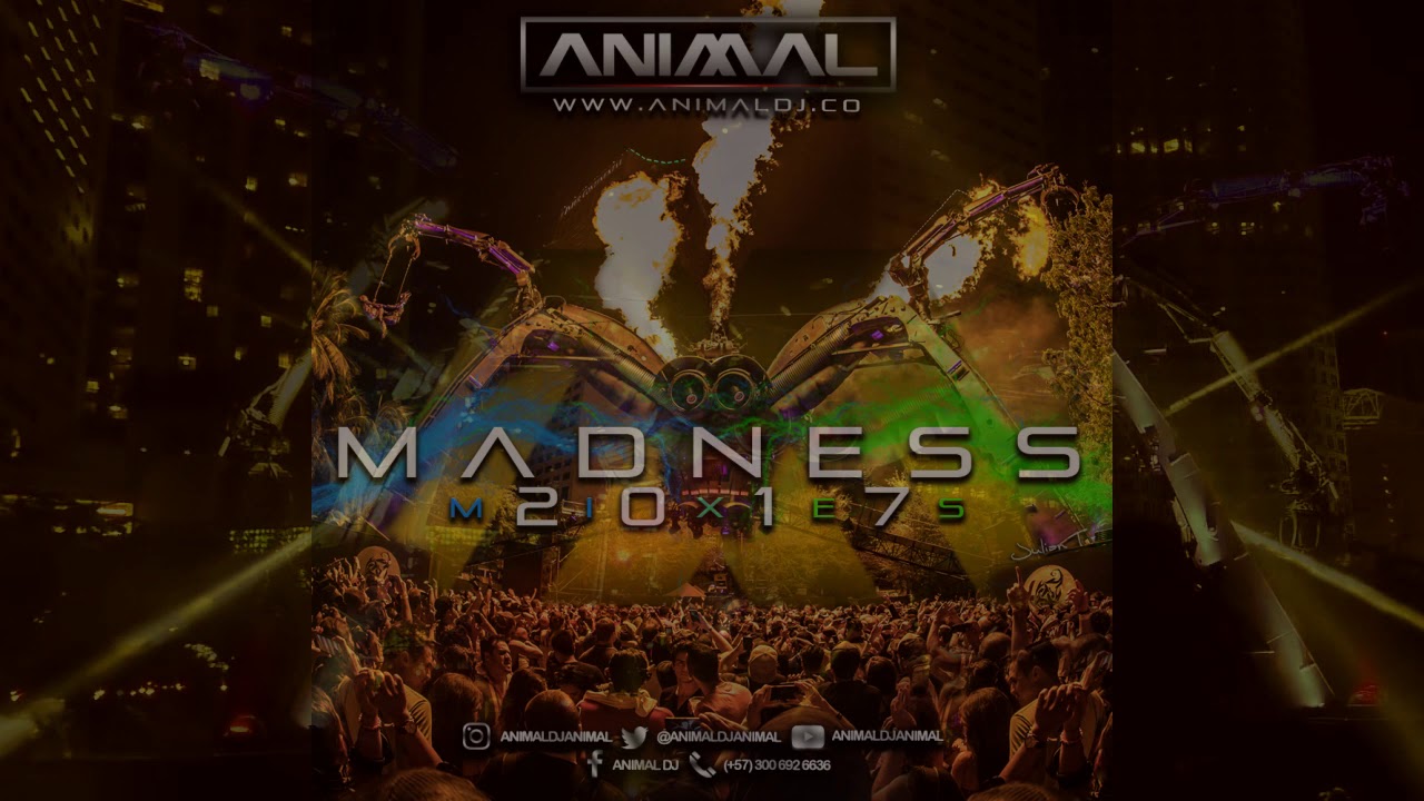 Madness 16 - Animal Dj (www.animaldj.co)