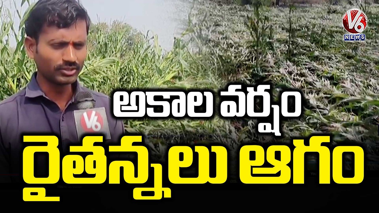 Severe Crop Loss in Adilabad Due to Unexpected Rainfall | V6 News