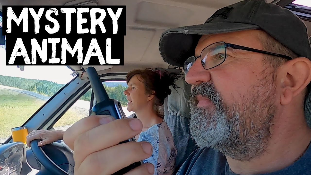 CANADIAN VAN LIFE ADVENTURE - WITH THE INDIE PROJECTS  [S7-E53]