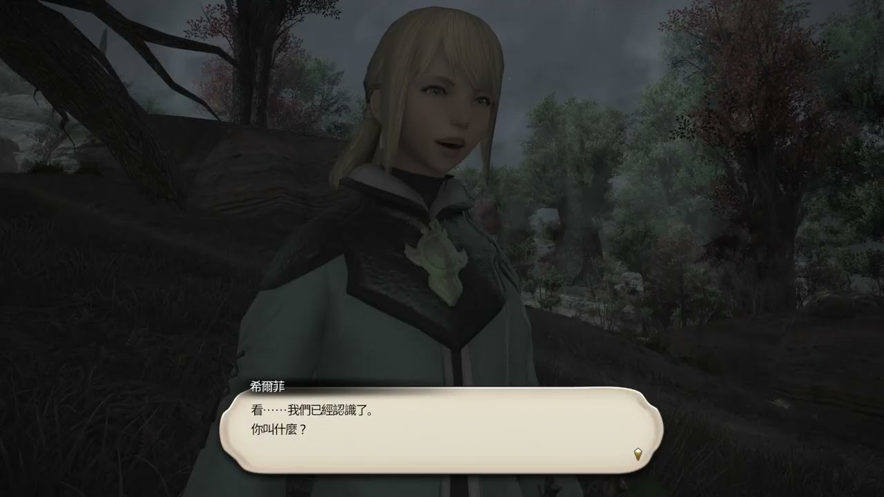 職任 看狀況5.0  | FINAL FANTASY XIV ONLINE 繁中 | 03/05