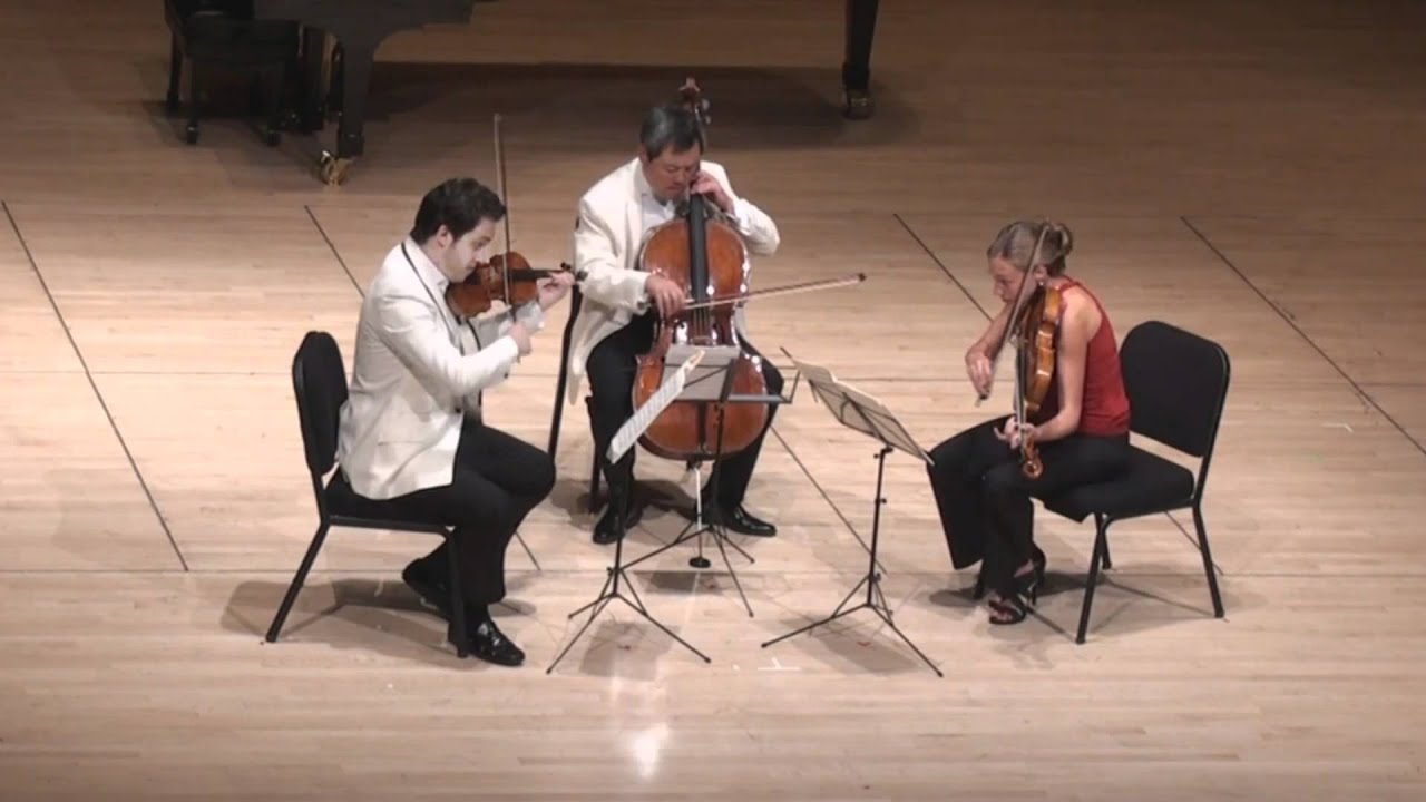 Beethoven String Trio in C minor - 1st mvt. | G. Schmidt, L. Francis, E. Kim