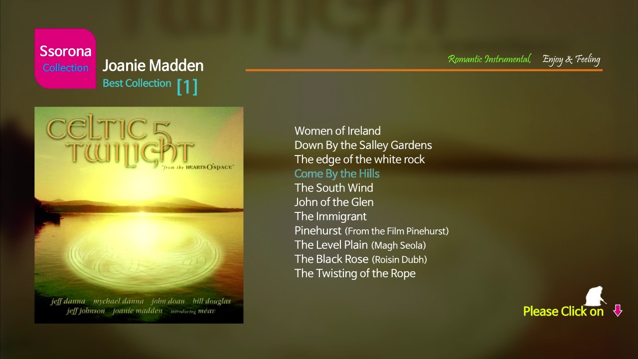 B-272 Joanie Madden [Best Collection 01].....LP Style 12 Tracks