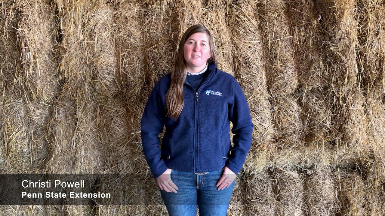 Open Gate Farm Tour: Northampton County
