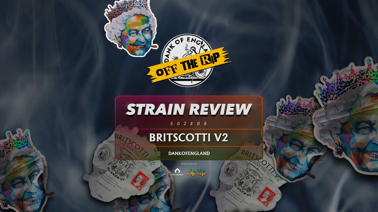 BRITSCOTTI S2 FINALE EP8 'OFF THE RIP' Strain Reviews