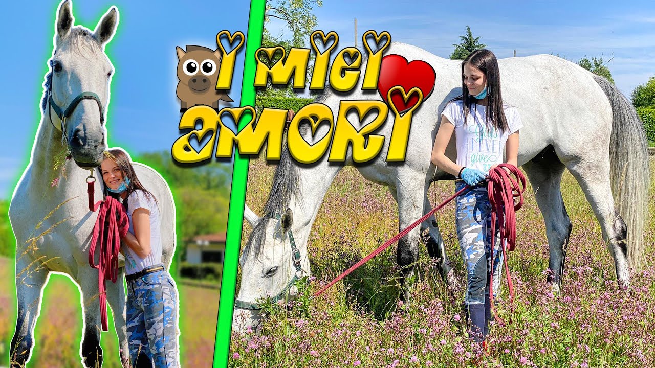 TORNO DAI MIEI CAVALLI DOPO 2 MESI DI QUARANTENA!