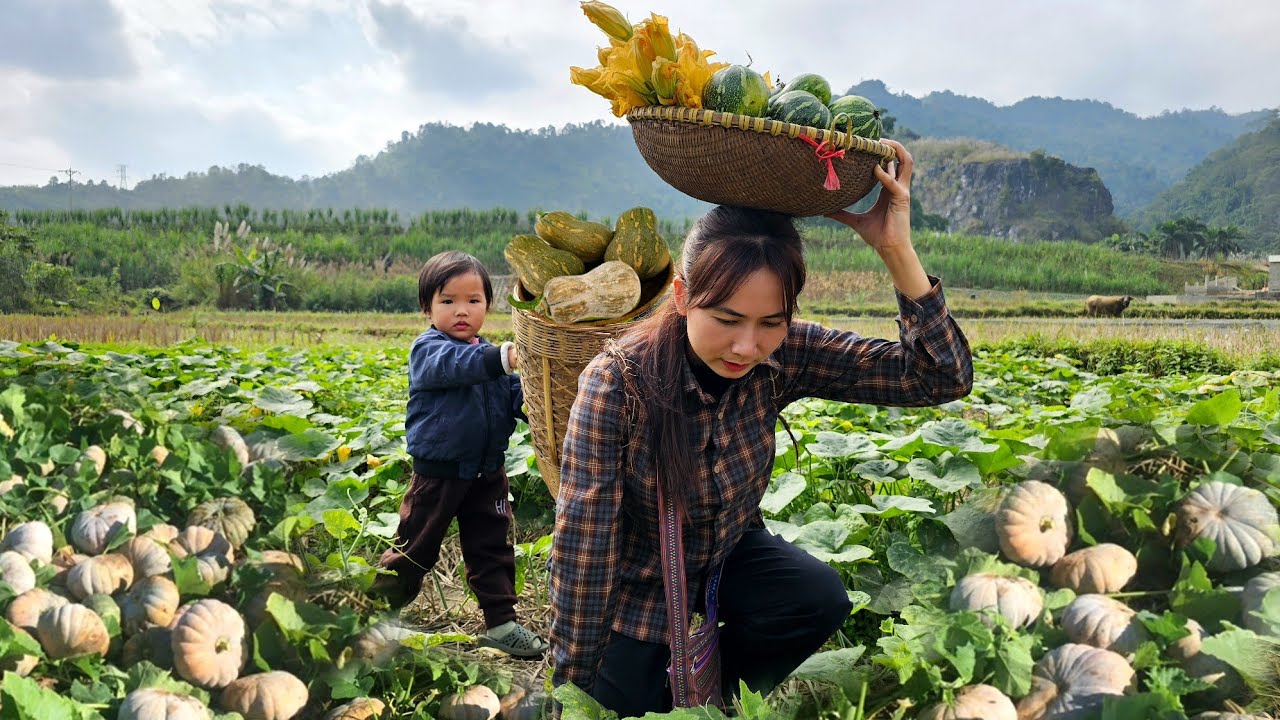 Rainy day: Pumpkin harvesting - How to make nutritious steamed pumpkin with shrimp with my daughter.