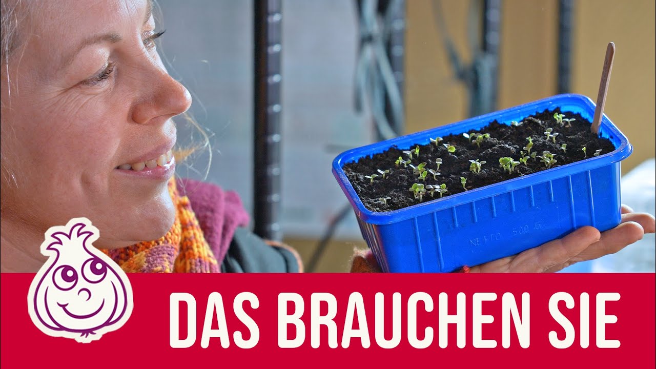 Wie funktioniert die Aussaat im Januar | Was ist zu beachten