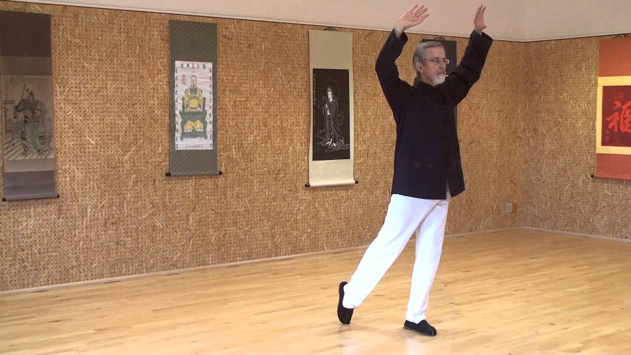 DYYSG DAOYINBAOJIANGONG François Hainry (Disciple direct de YOU Xuan De) ABTCC