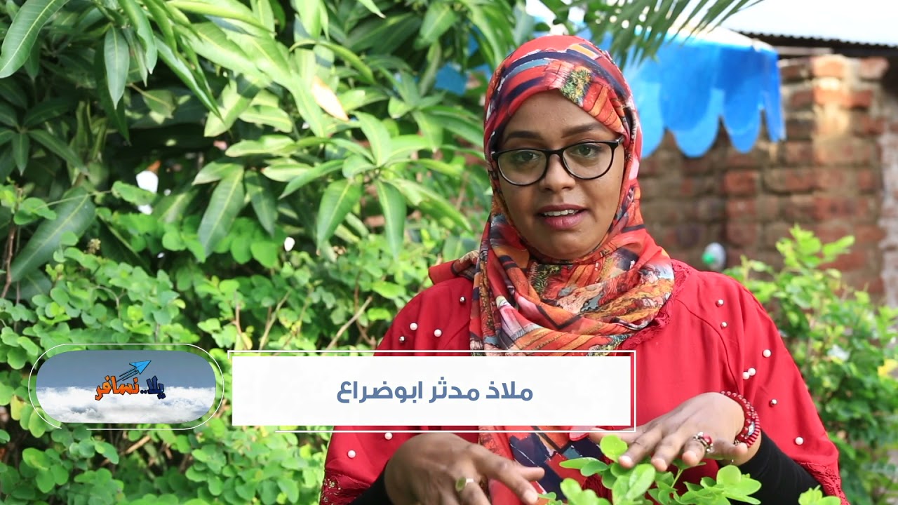 يلا نسافر باو ..  الرقص علي ايقاع الجالك