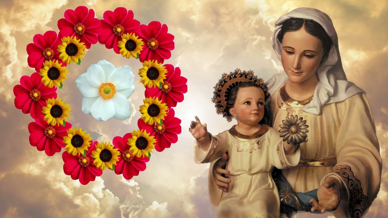 Santo Rosario de Hoy Domingo 22 de Febrero 2026. #fecatolica #rosariodehoy #shortvideos #parati