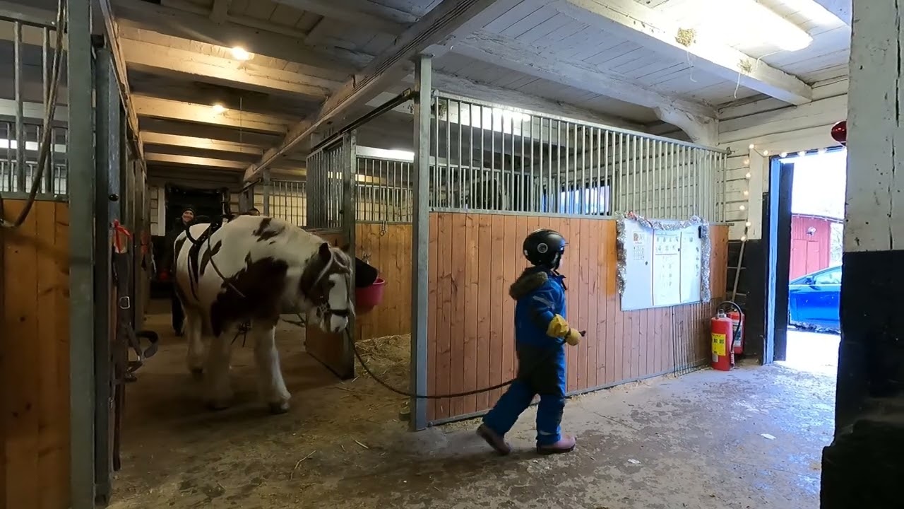 HästLykka.  6 januari 2026