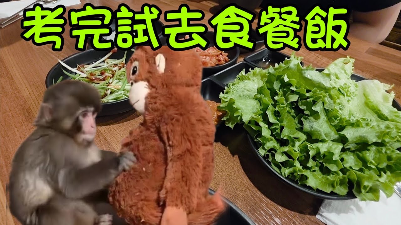 带牛魔王去食豬蹄#多倫多#加拿大