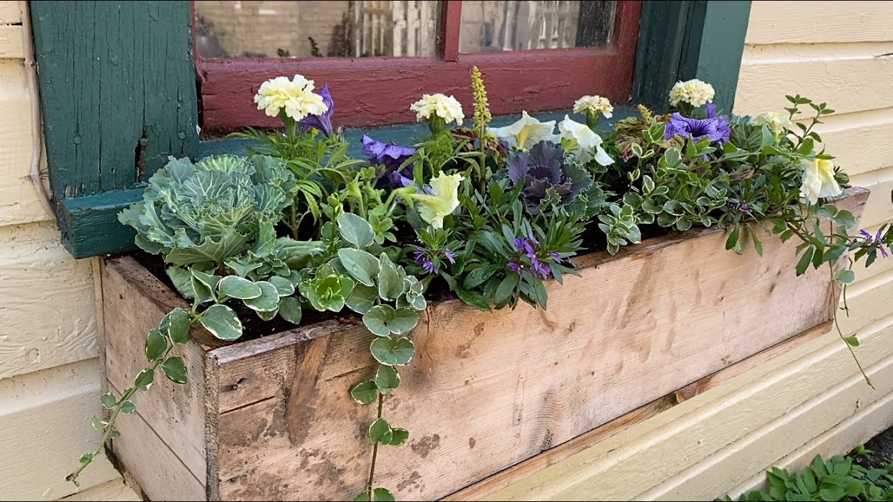 Easy Summer Window Boxes - Window Box Flowers - Flower Planter