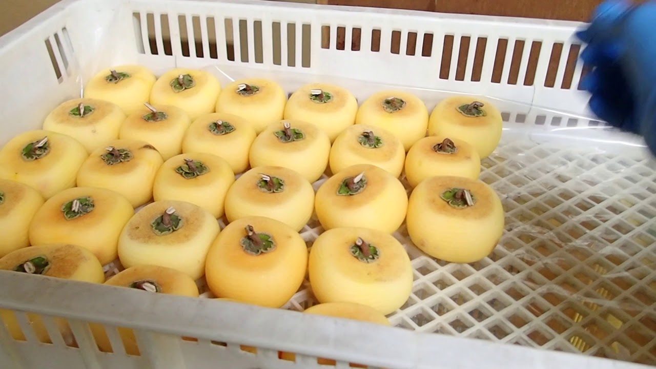 あんぽ柿ができるまで