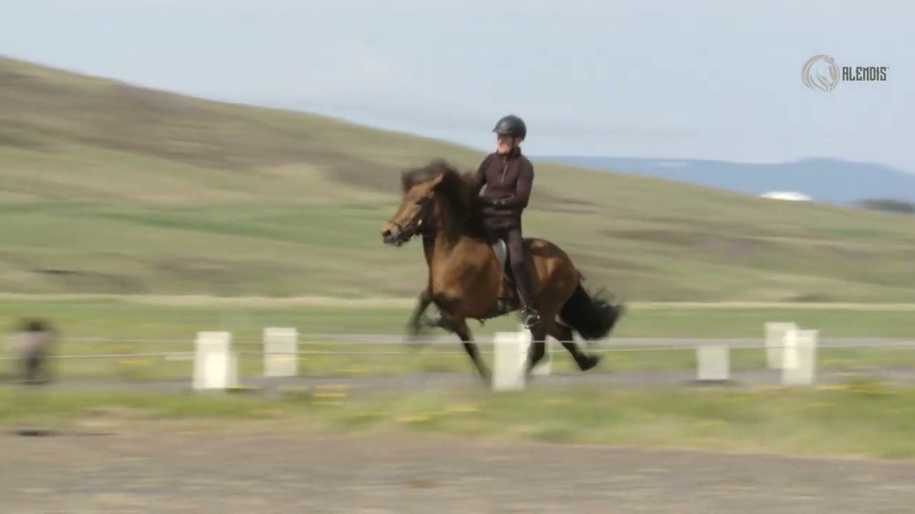 Arney frá Ytra Álandi  Agnar Þór Magnússon Myndband: Alendis.is