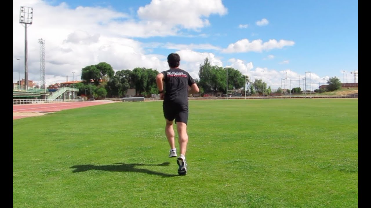 Circuito de fuerza general. Periodo II (Recuperaciones cortas)