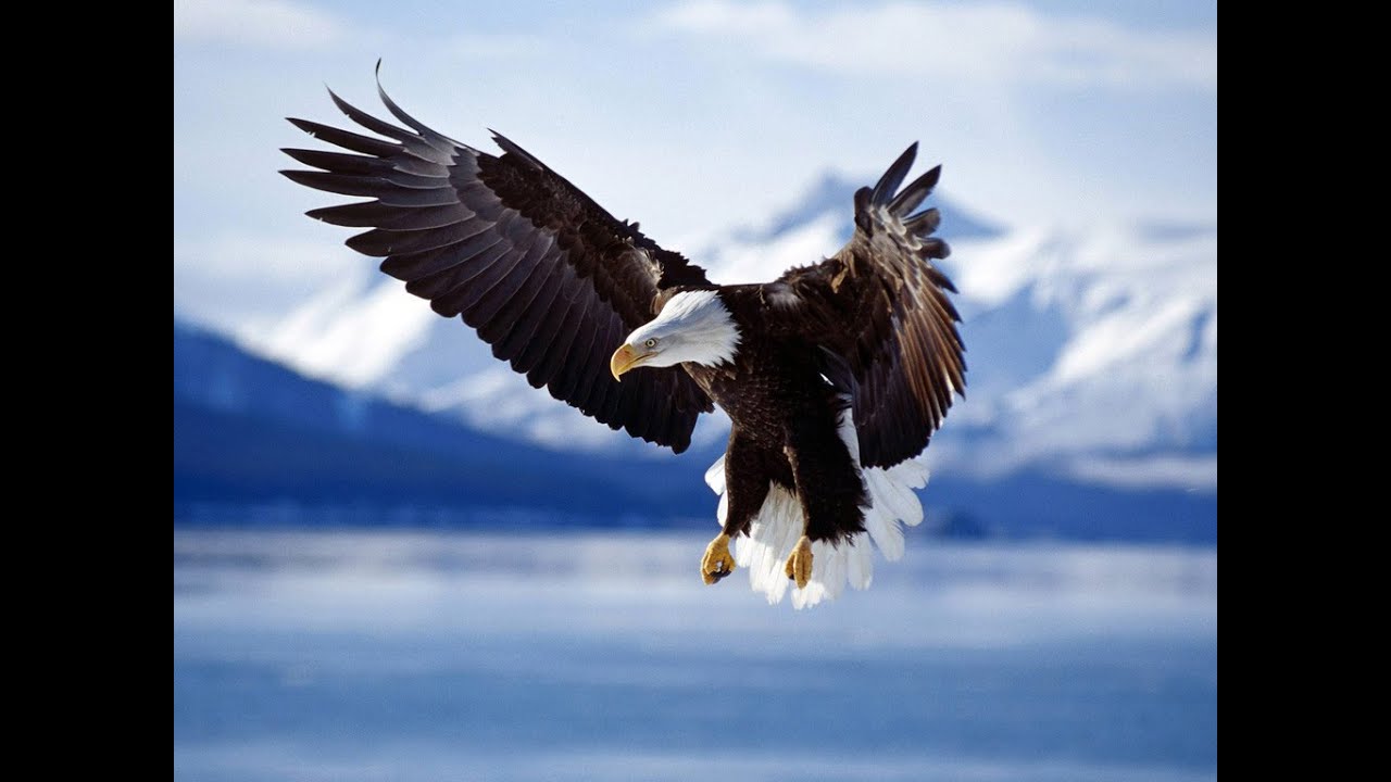 25 EXOTERISMO, PSEUDO ESOTERISMO E ESOTERISMO