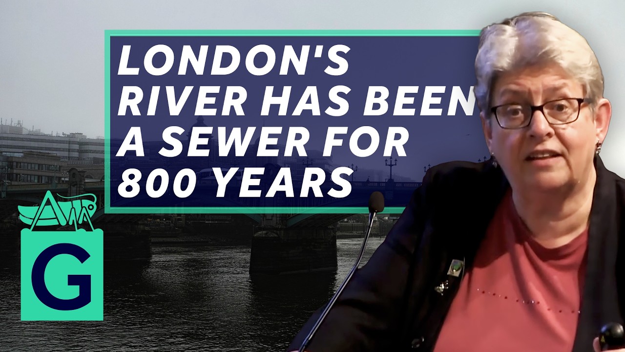 Cleaning Up The Thames: Success or Failure? - Professor Carolyn Roberts