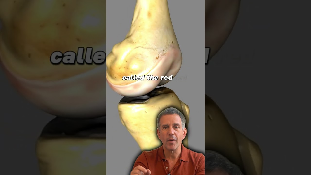 Meniscus Repair vs Meniscus Removal
