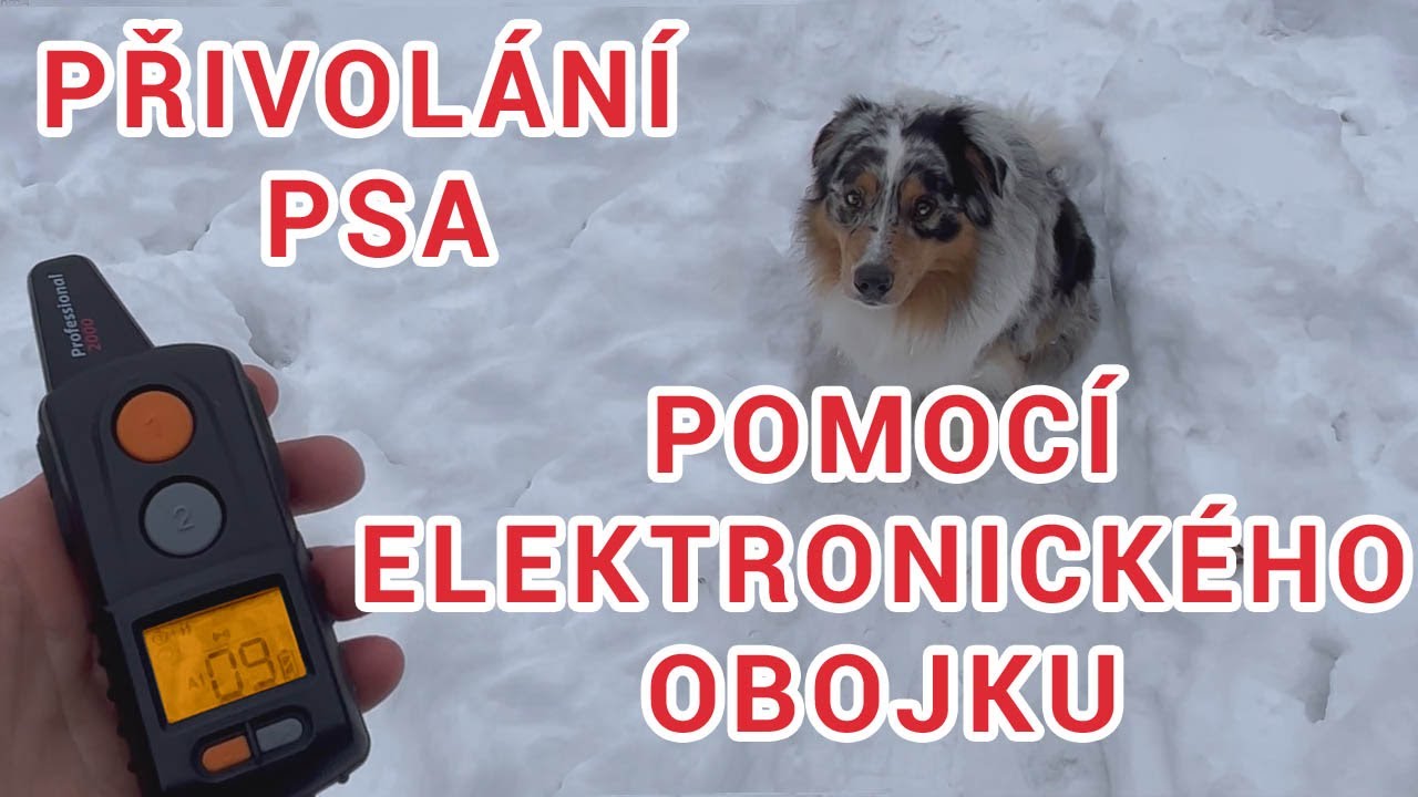 ELEKTRONICKÝ VÝCVIKOVÝ OBOJEK - Jak naučit psa (KE MNĚ!) pomocí obojku D-control