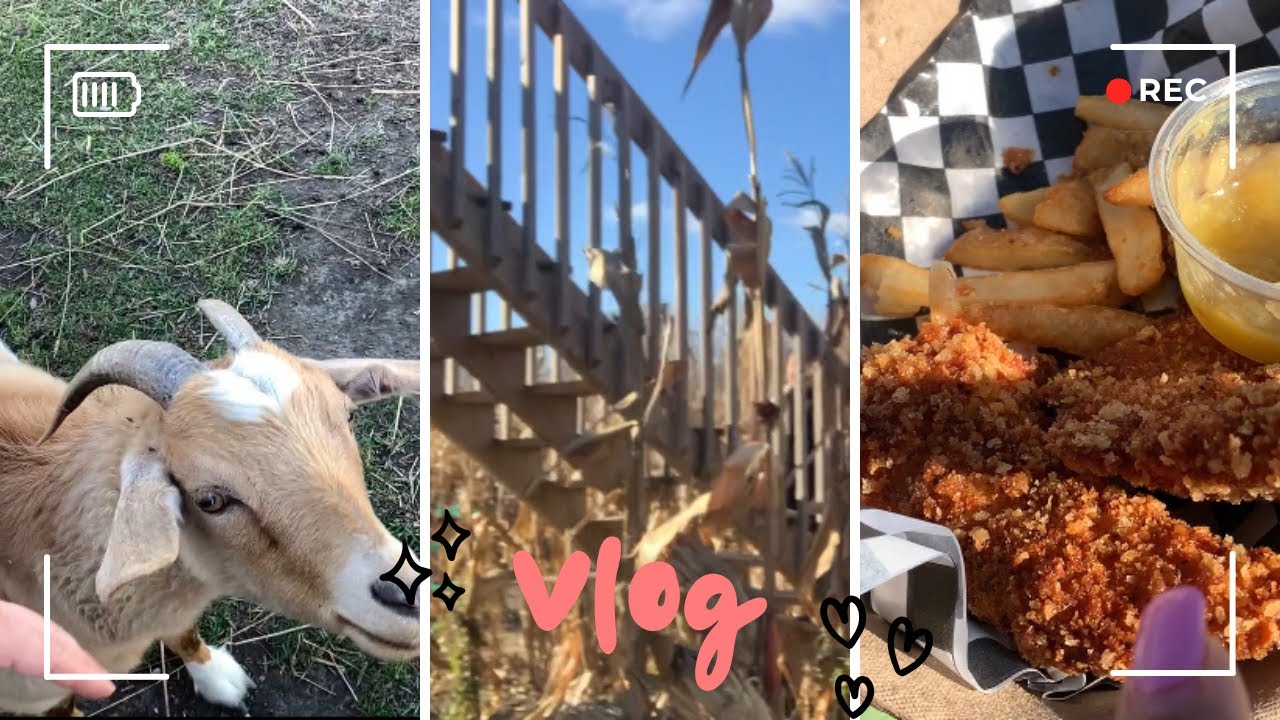 Fall fest at Pingle’s Farm | goats | corn maze | food | VLOG