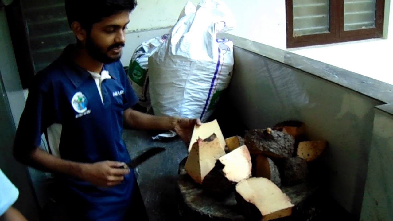 Capuchin Vidyabhavan @ a Glance