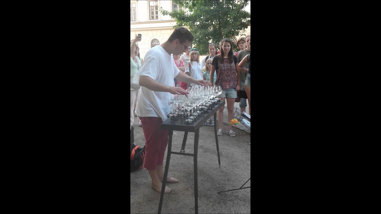 Petr Spatina - Amazing glas harp