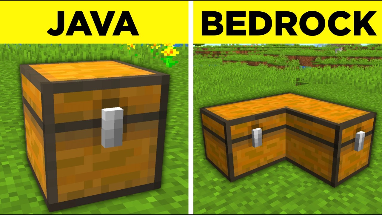 131 Perbedaan Java VS Bedrock!