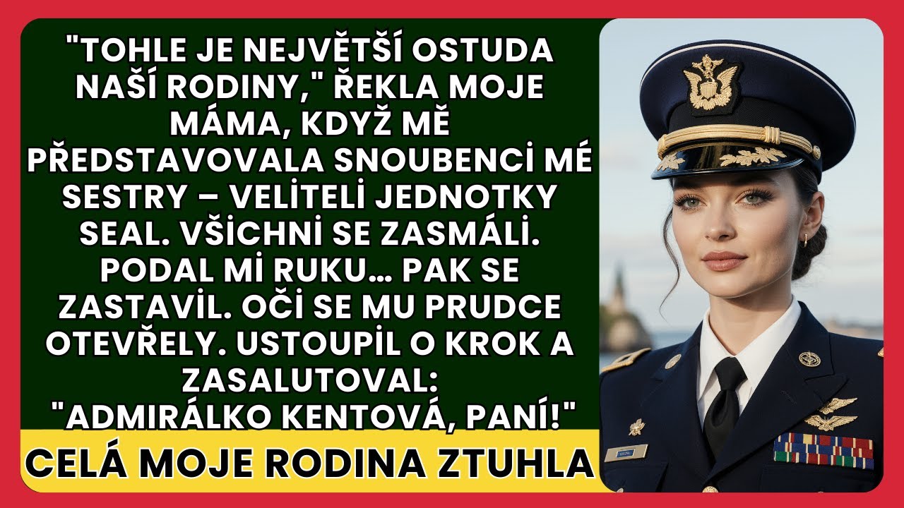 Posmívali se mi na sestřiných zásnubách — dokud její snoubenec ze SEAL nevstal a nesalutoval.