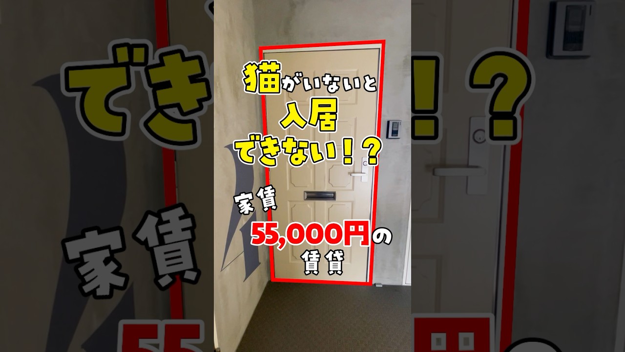 【家賃5万円で猫3匹飼育可】キャットウォークと脱走防止扉を完備したネコ物件に潜入 #ねこ #ルームツアー #ねこ物件