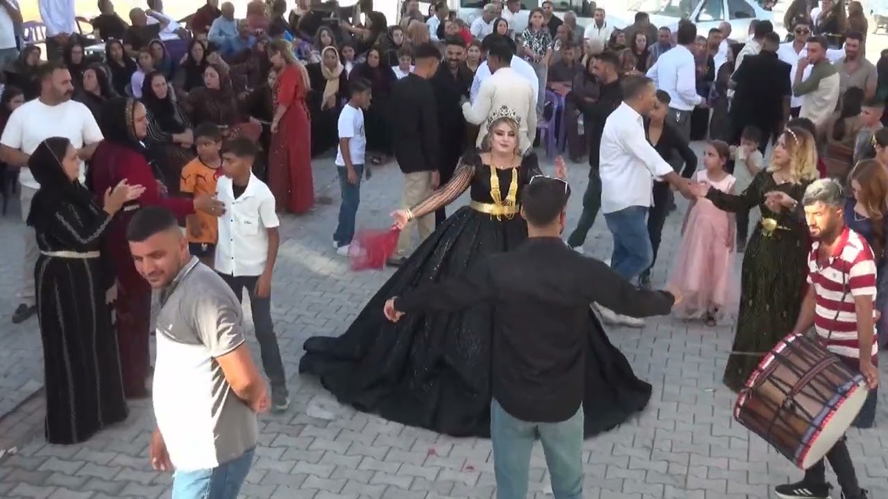 ömer çolakoğlu aşiret düğünü 3