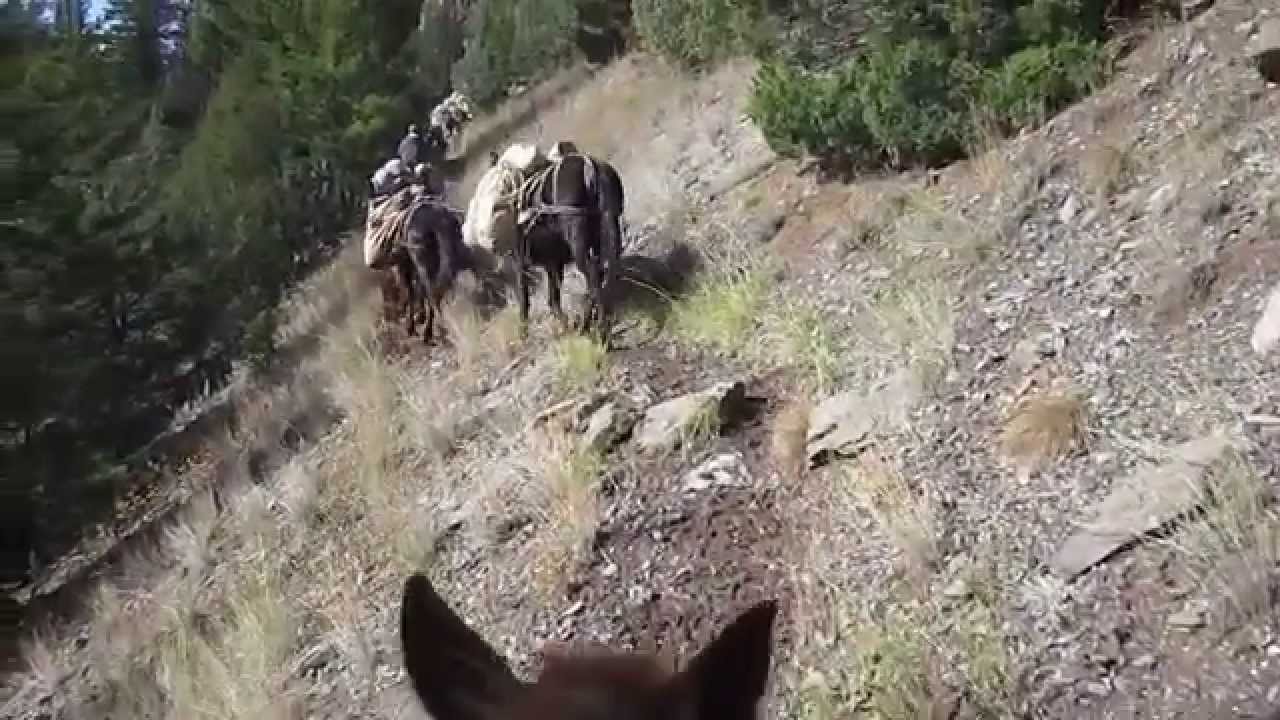 2014 Back Country Elk Camp
