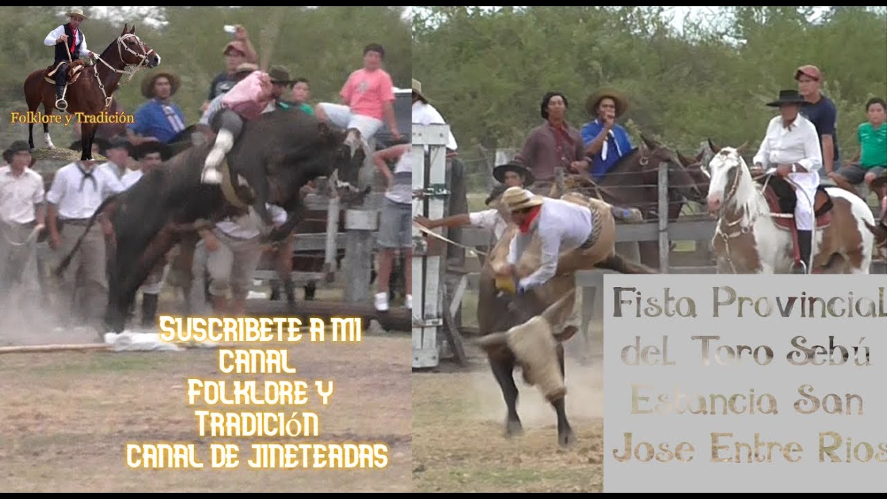 Fiesta Provincial del Toro Sebú Federal Entre Ríos (Jaripeo Charreria ) Horses, Riding