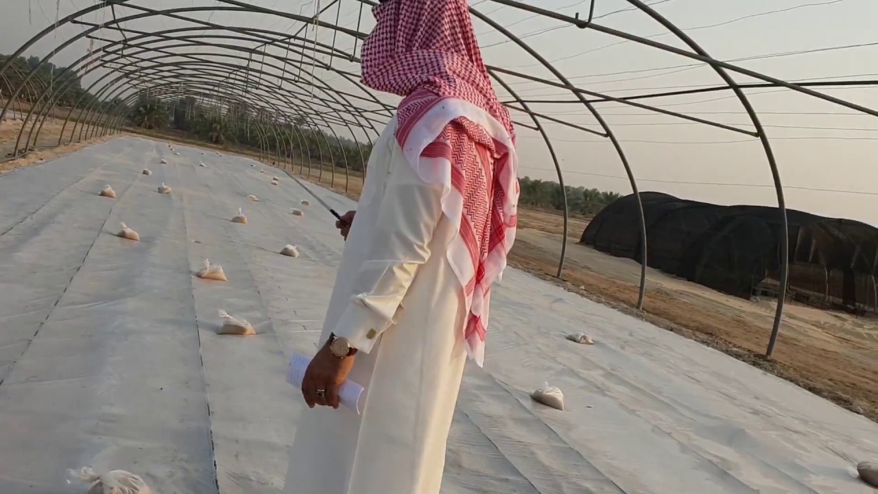 التعقيم الشمسي للترب الزراعية