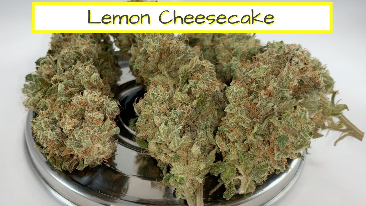 Lemon Cheesecake by Heavyweight Seeds