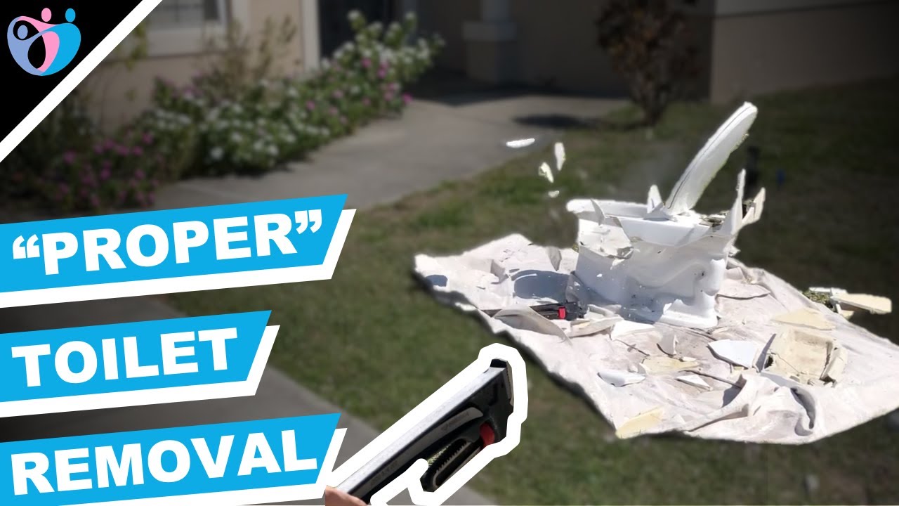 How to remove a toilet in a bathroom and DESTROY IT