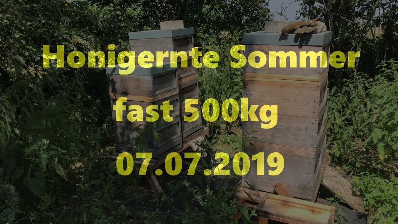 Honigernte Sommer, fast 500kg, 07,07,2019  *4K*