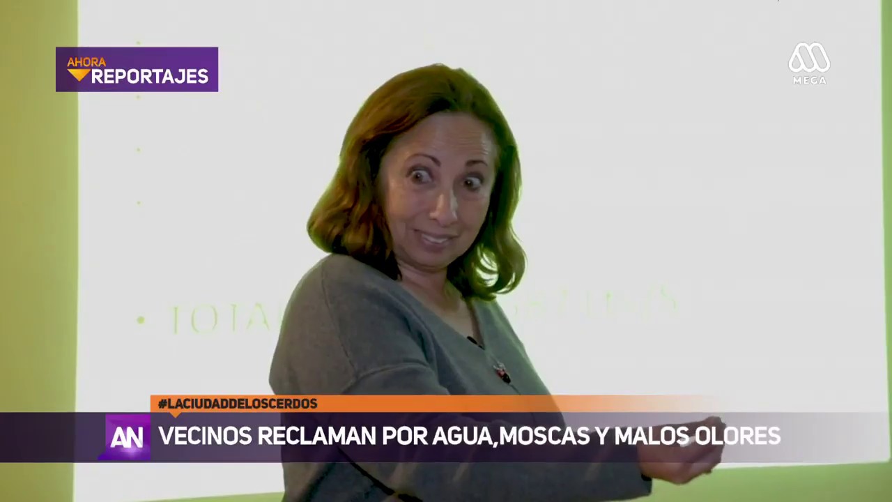 La Estrella: La ciudad de los cerdos y los problemas en la Región de O'Higgins