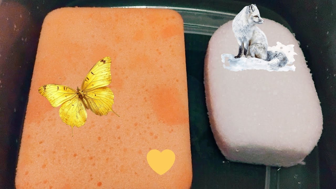 Soapy Utility and Massage Sponges Squeezing and Ripping - Also thank you for 100 subscribers🎉