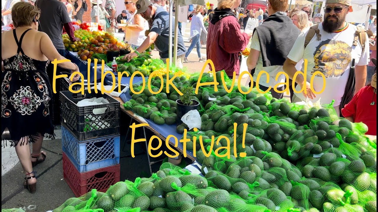 Fallbrook Avocado Festival
