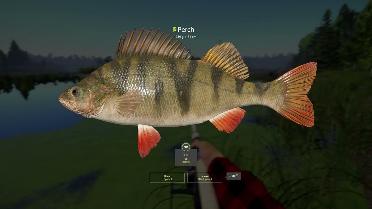 Fishing Old Burg Lake, Russian Fishing 4 PC game, no talking, without commenting